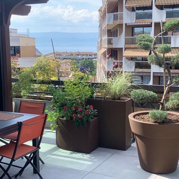 A garden one day, a terrace the next